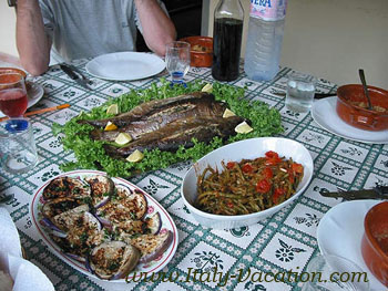 Italy vacation Ag. Belze  farmhouse  Agriturismo Farm Vacation House & Motorhome , Az. IL Querciollo , Toscana , garda , Napoli Amalfi, Tuscany & Umbria 