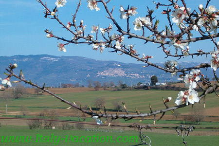 Agri. Pratoval  Italy vacation Agriturismo Farm Vacation House & Motorhome , Toscana , garda , Napoli Amalfi, Tuscany & Umbria