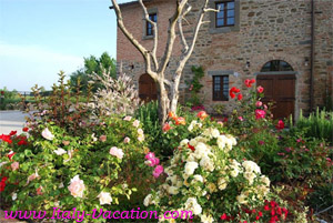 Italy vacation La Mucchia - Casa Vacanza & Art Galleryuse . Agriturismo Farm Vacation House & Motorhome , Az. IL Querciollo , Toscana , garda , Napoli Amalfi, Tuscany & Umbria 