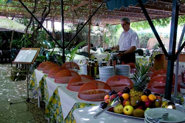 Italy vacation-Hotel_delle_Muse_Rome_Garden