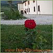 Toscana Umbria Garda Napoli - Casolare Salssinger House Sibillini Park
