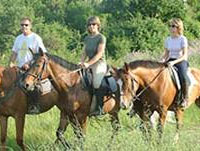Agriturismo   B&B Morasani - Napoli Area