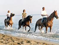 Italy-Vacation   Morasani Agriturismo   B&B - Napoli Area  Park  Cilento