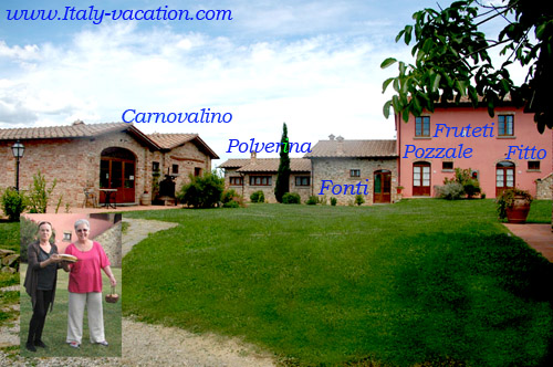 Antique azienda Querciollo  Italy-vacation . House and apartments location -Toscana , Umbria